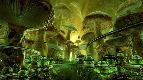 Pulax Fungal Vats