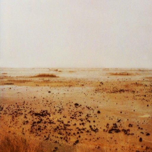 Mud Flats
