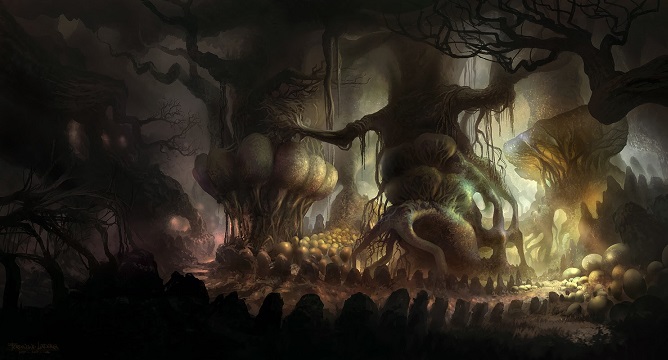 Sphere Fungal