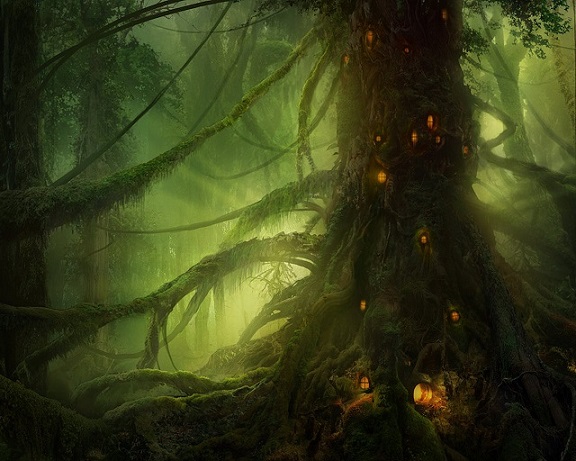 Taurquion Oak