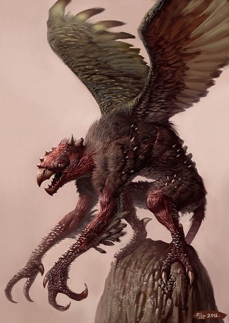 Harpy, 1st Generation