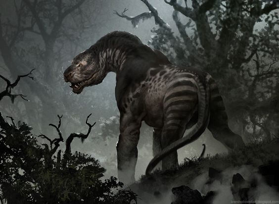 Dire Zebra