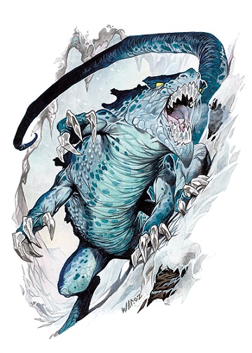frost salamander