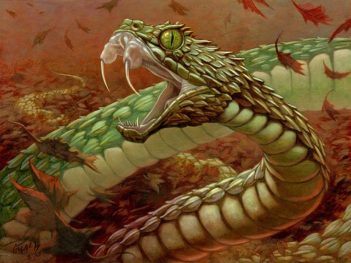 Pit Viper by Alan Pollack