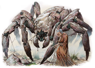 weave spider