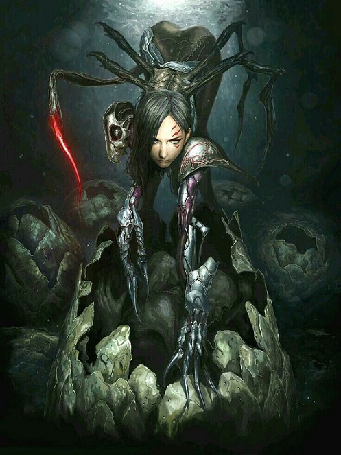 Arachnoid
